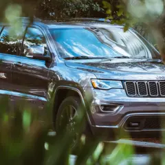 Szary Jeep Grand Cherokee 3.6 zaparkowany wśród zieleni.