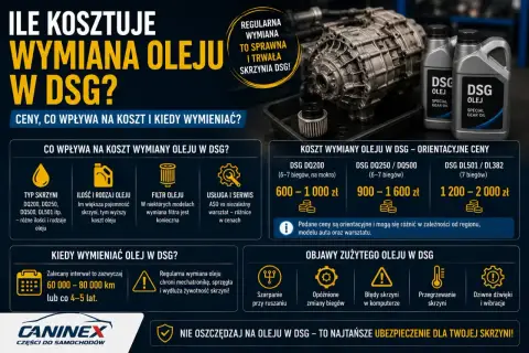 Skrzynia biegów DSG, butelki z olejem i filtr.