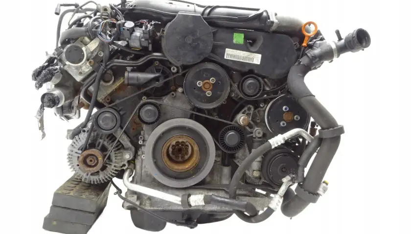 Silnik audi 3.0 tdi z widocznymi paskami, kołami pasowymi i przewodami.